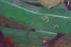 gpw_frame_lf.jpg (46889 bytes)
